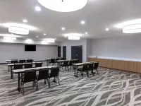 Microtel Inn & Suites by Wyndham College Station Hotels in Brazos County