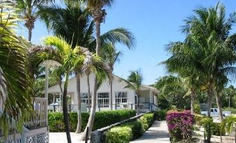 a tropical resort with palm trees , flowers , and a white building in the background under a clear blue sky at Paradise Villas