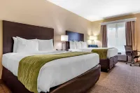 Comfort Inn & Suites Scott-West Lafayette Hotels in Rayne