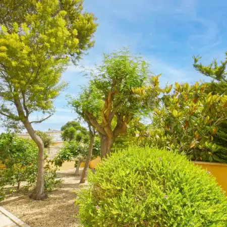 Villa Acuario