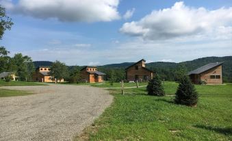 a rural setting with a house surrounded by trees and grass , and a driveway leading up to it at Fat Sheep Farm & Cabins