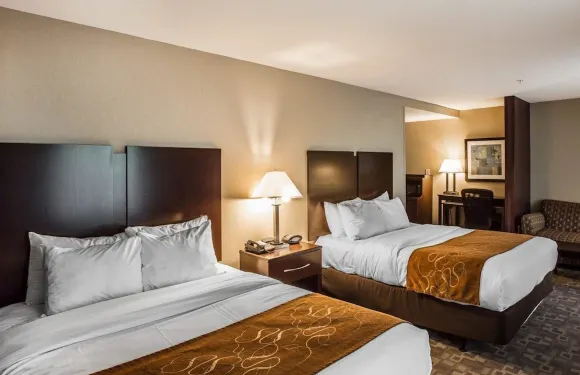 舒適套房酒店-惠特塞特格林斯博羅東