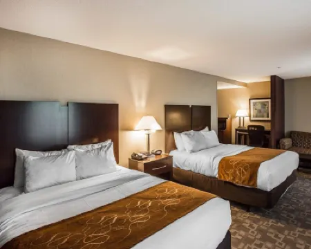 Comfort Suites Whitsett - Greensboro East Hotels in Guilford County