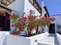 Kalidon Beach Hotel Hotels in Samos