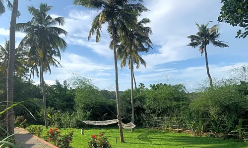 Amara Ayurveda Retreat