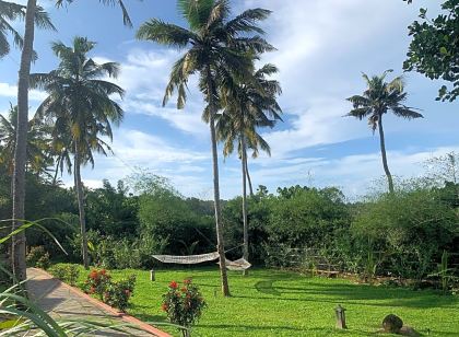 Amara Ayurveda Retreat