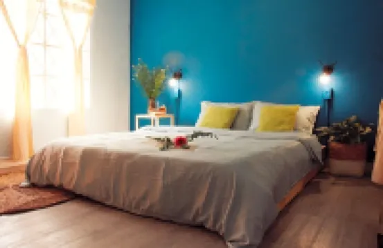 Coucou Homestead - I