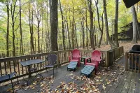 Autumn Wings - A Natural Retreat