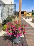 Au Pied du Lariat Hotels in Jonzac