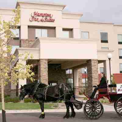 Hampton Inn & Suites Rogers Hotel Exterior