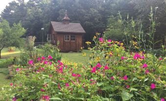 a garden with a wooden shed surrounded by various flowers and trees , creating a serene and picturesque scene at Concord Inn