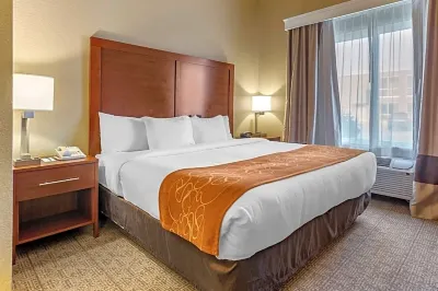 Comfort Suites Jonesboro University Area Hotels in Nettleton Township