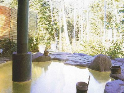 スパ・大浴場 濁河温泉　湯の谷荘の写真