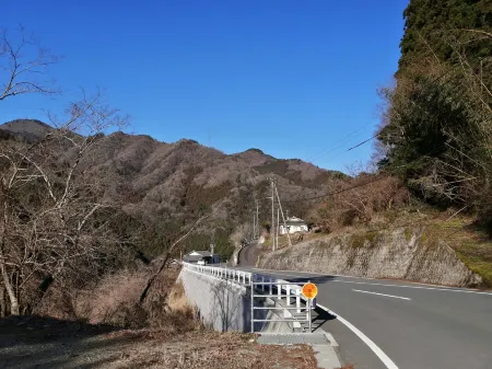 Satoyama No Yado Megumi House Отели в г. Сикокутюо