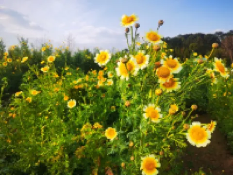 Xia Yi Apartment (Zhuzhuang Jieli Road No.1)