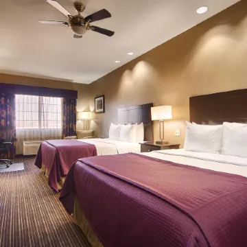 Best Western Giddings Inn  Suites