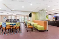 Comfort Inn & Suites Tampa North I-75