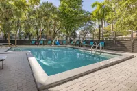 Comfort Inn & Suites Downtown Brickell-Port of Miami - piscina