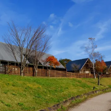 Angel Forrest Shirakawakougen