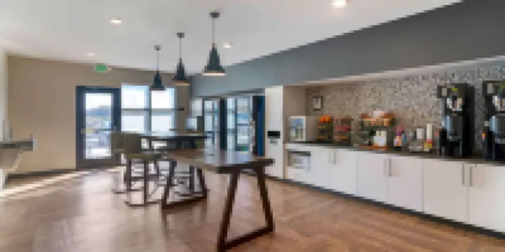 美洲長住飯店高級套房-薩凡納-普勒