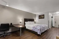 Red Roof Inn & Suites Savannah Airport - Motel