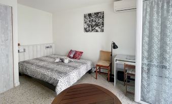 Comfortable and Spacious Studio in Cannes