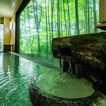 Hakone Onsen Sanso Nakamura