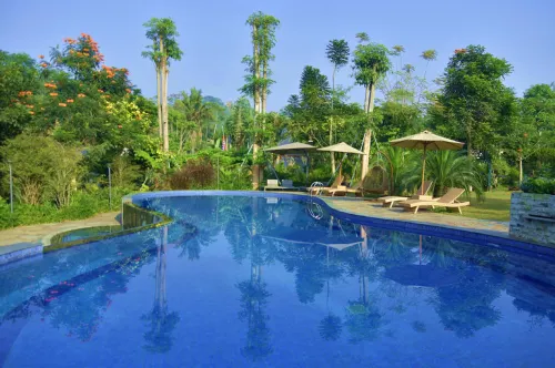 Sarga Earthing Resort