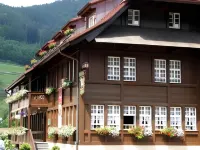 Hotel-Gasthaus Goldener Engel فنادق في Waldkirch