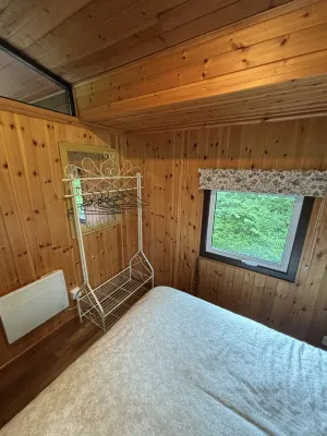 11 Tan-y-Coed Woodland Lodge - Pools
