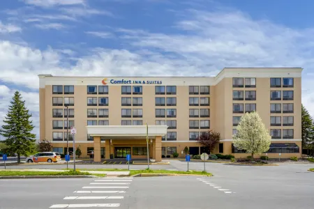 Comfort Inn & Suites Watertown - 1000 Islands Отели в г. Сакетс Харбор