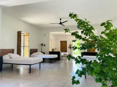 Hostal Homún Oro Verde Hotels in Acanceh