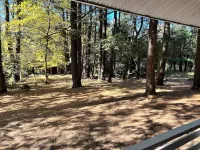 Cheerful 4 rooms Cabin with 2 bath near BU Hotels in Vestal