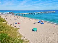 Bio-Hackers! Beach 1 Mile, Cold Plunge, Sauna, Hot Tub, Xbox, Walk to Downtown!