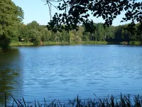 Experience nature and enjoy peace