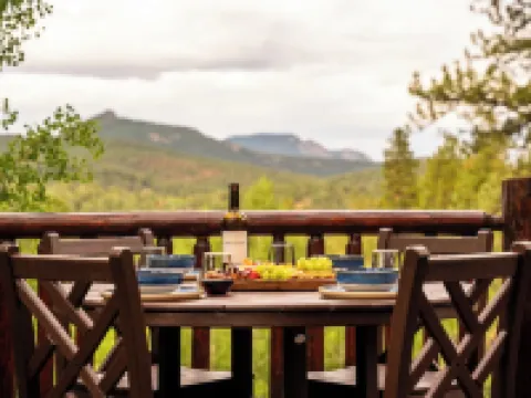 Bailey Bear Haus - Colorado Mountain Log Cabin Getaway. Pet friendly! Hotels in Bailey