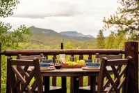 Bailey Bear Haus - Colorado Mountain Log Cabin Getaway. Pet friendly!