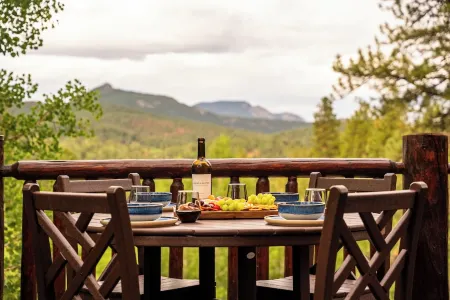 Bailey Bear Haus - Colorado Mountain Log Cabin Getaway. Pet friendly!