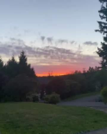 Spacious home apartment in park like setting