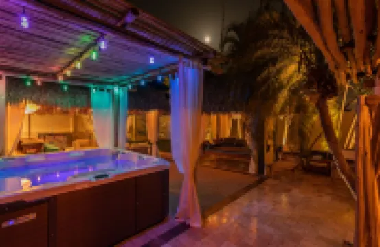 Whole Luxury Duplex with Amazing Features & Stunning Backyard