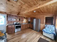 RealTree Camo Cabin 2