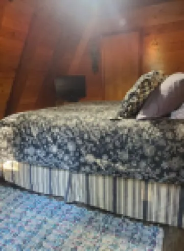 2 Wooded Acres, 2 King Beds & 1 Full Bed, Fire Pit & Plenty of Parking!