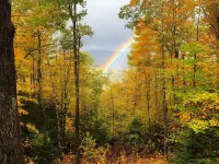 Mountain Cabin with long range views, privacy, and more. Hotels in Campton