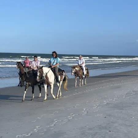 Golf Cart to Beach, Pet Friendly, Fenced Yard, Amelia Island Quiet Home Escape