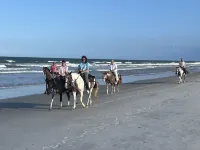 Golf Cart to Beach, Pet Friendly, Fenced Yard, Amelia Island Quiet Home Escape - 2-Sterne