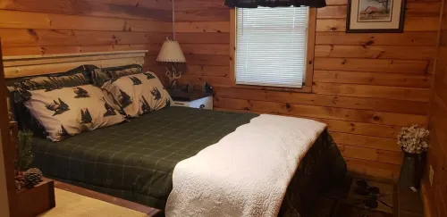 Sweeton Creek cozy cabin just minutes from Lake Norfork