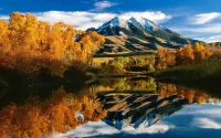 Cozy, Rustic Cabins near Chico Hot Springs & only 35 mins to YELLOWSTONE PARK!!