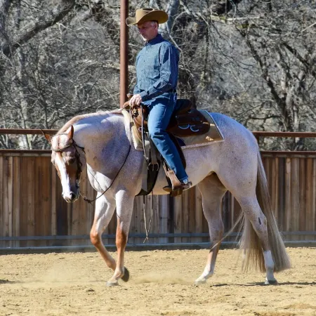 Newly Renovated Farmhouse on a Working Horse Ranch Near Popular Wedding Venues