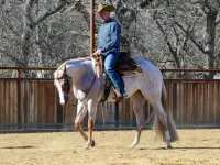 Newly Renovated Farmhouse on a Working Horse Ranch Near Popular Wedding Venues