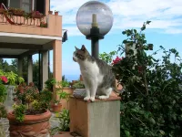 Tranquility and spectacular views Hotels near Marciana